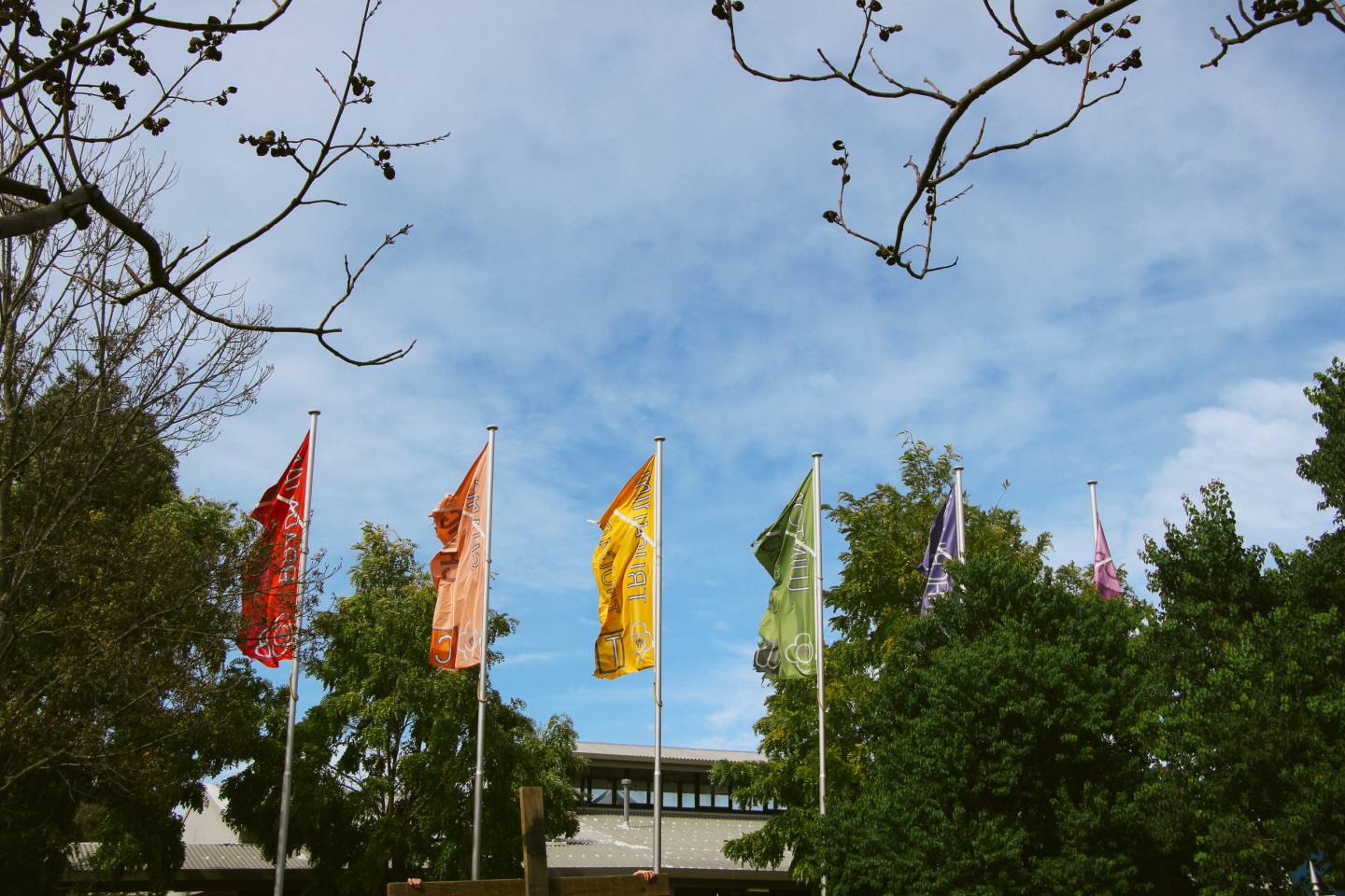 Easter Vigil Cluster Flags Campus